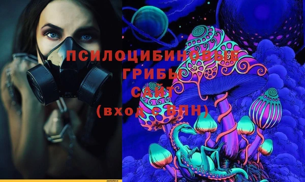 шишки Алзамай