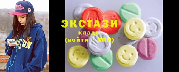 хмурый Алексин