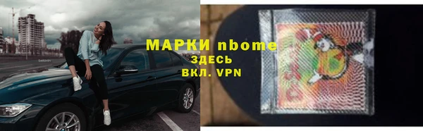 хмурый Алексин