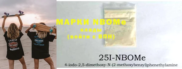 хмурый Алексин
