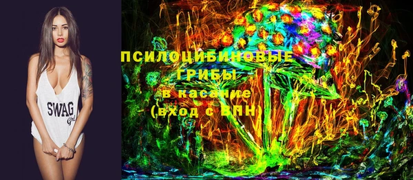 шишки Алзамай