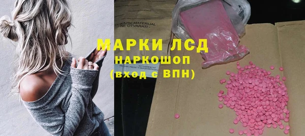 хмурый Алексин