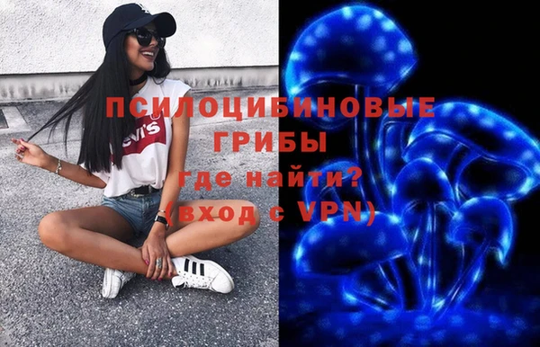 шишки Алзамай